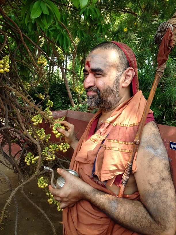 HH Vijayendra Saraswathi Shankaracharya Swamiji