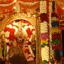 Devi Kamakshi in the Golden Chariot