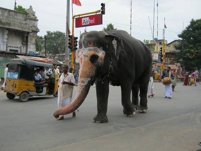 Aadi perukku
