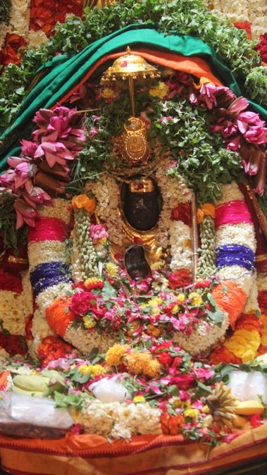 46th Jayanthi of His Holiness Sankara Vijayendra Saraswathi Shankaracharya Swamiji