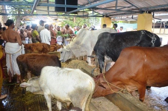 Mambalam Visit