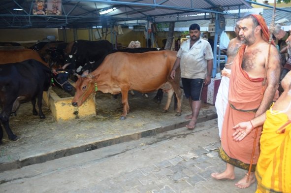 Mambalam Visit