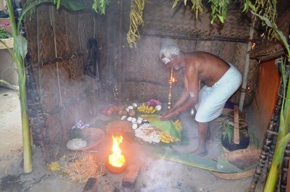 Mattu Pongal
