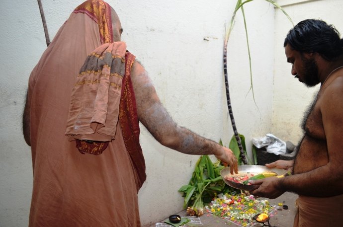 Makara Sankaranti