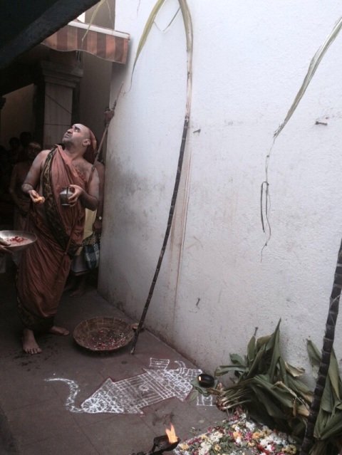 Sankaranti