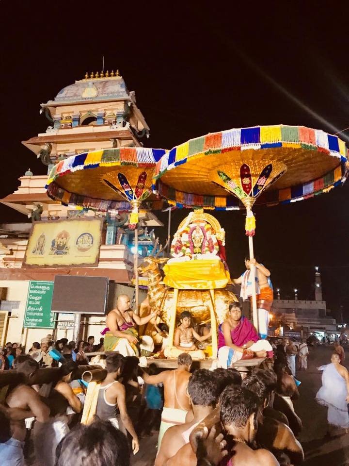 Kanchi Kamakshi Brahmotsavam-Vahanam