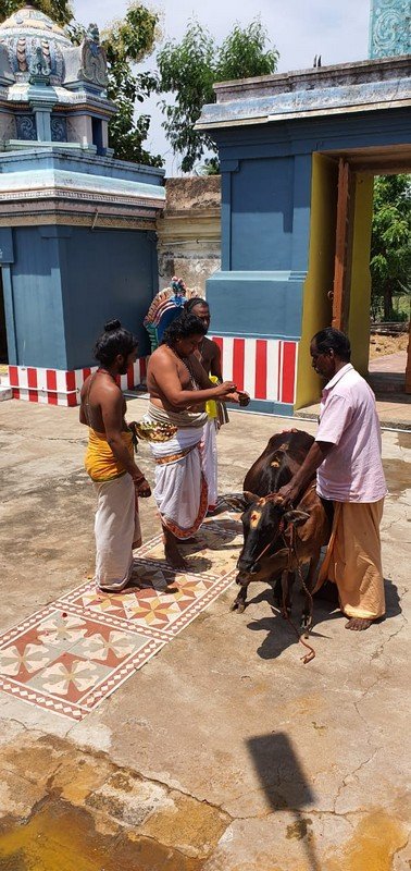 Vanjiyur-Devasthanam-Pavitrotsavam