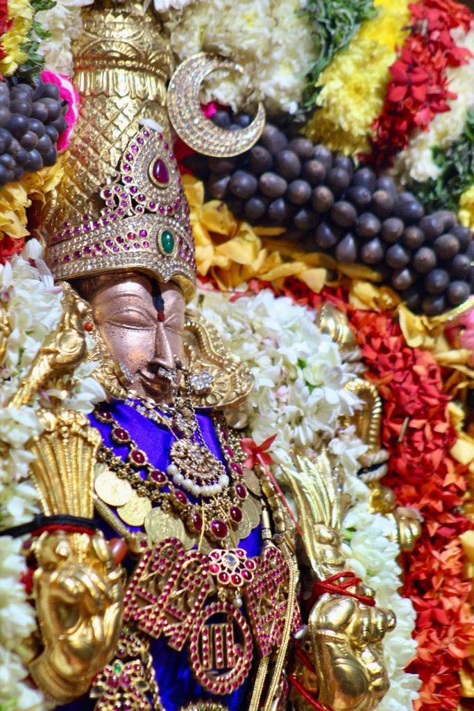 Pujya Shankaracharya Swamiji- Visesha pujas-events