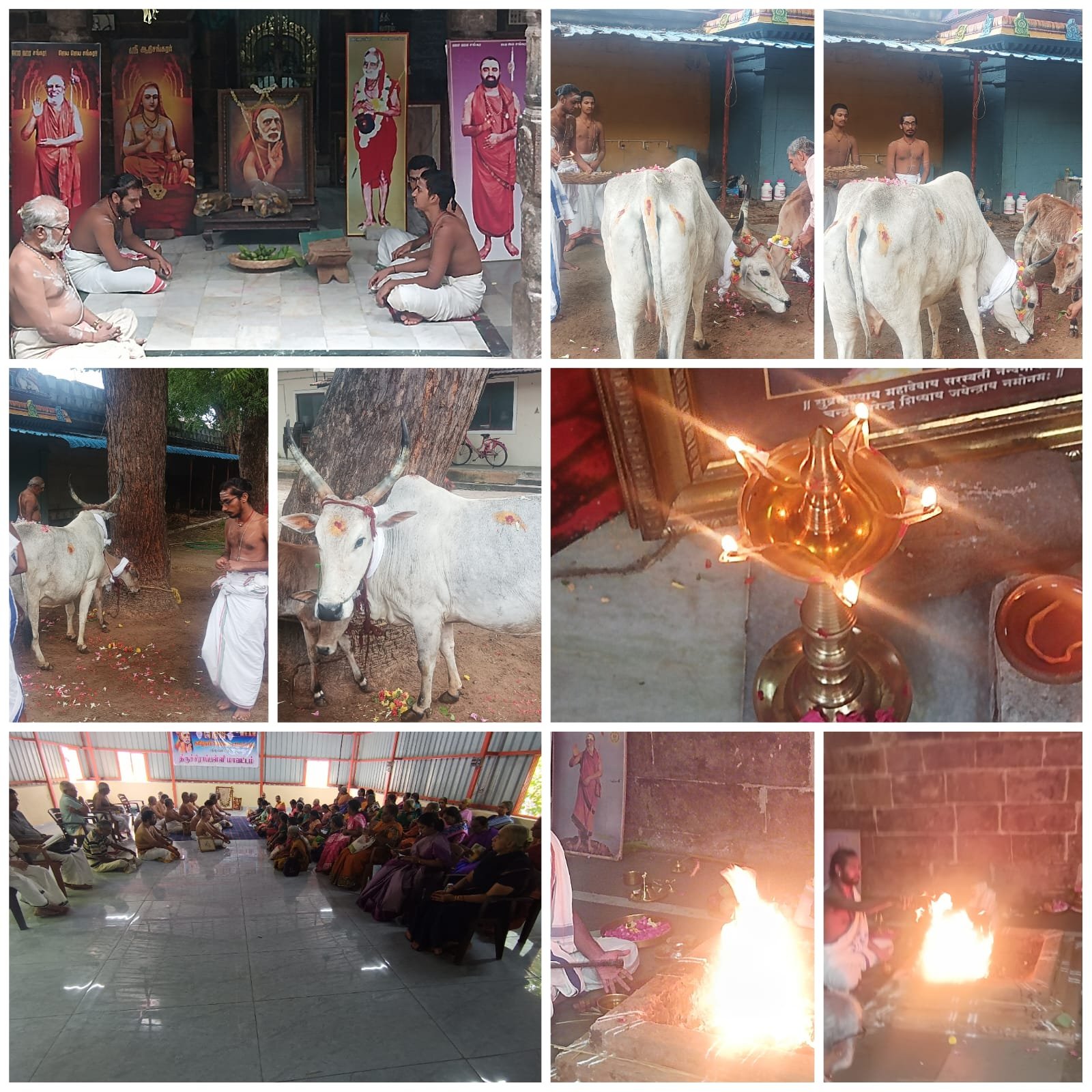 Pujya Shankaracharya Swamiji- Visesha pujas-events