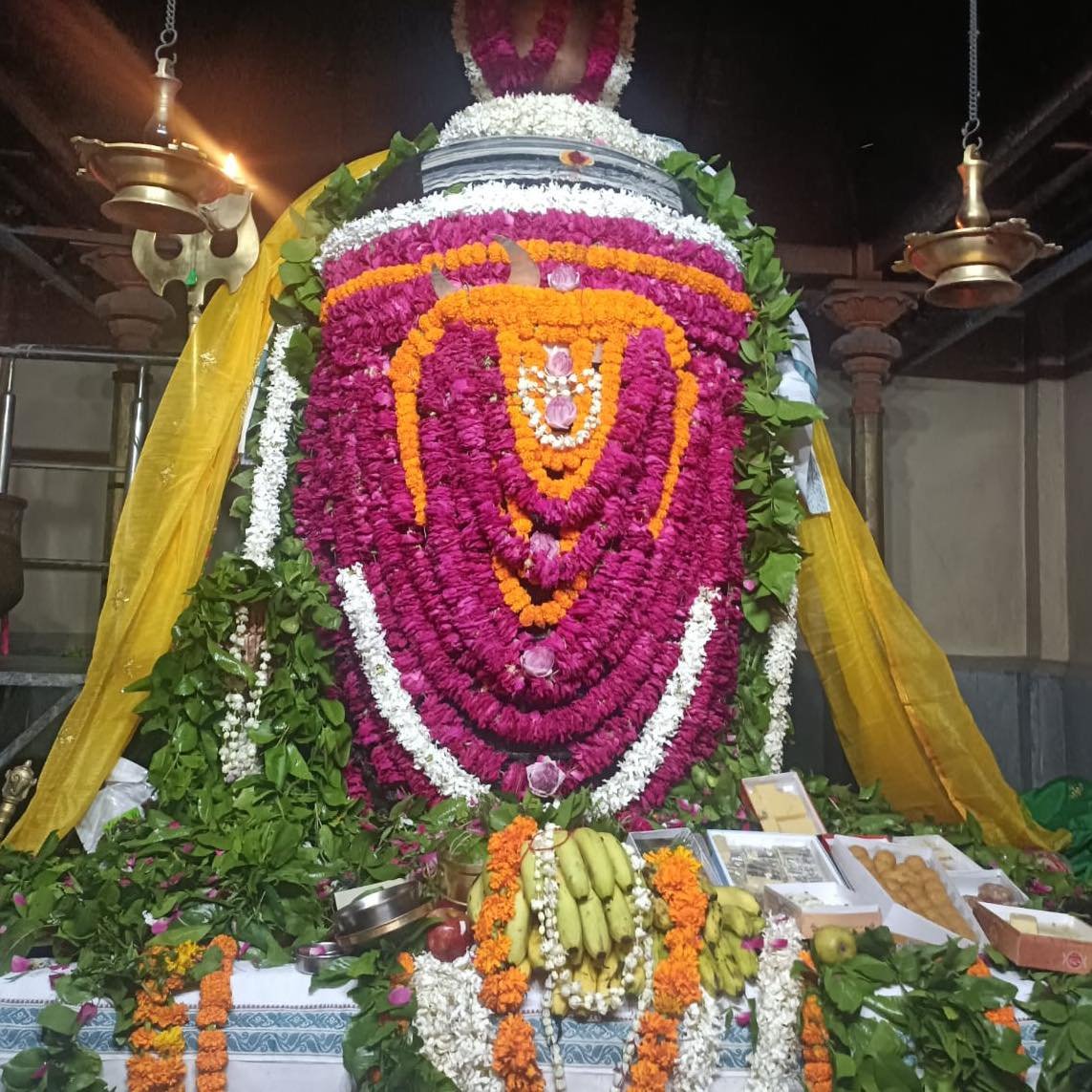 Pujya Shankaracharya Swamiji- Visesha pujas-events