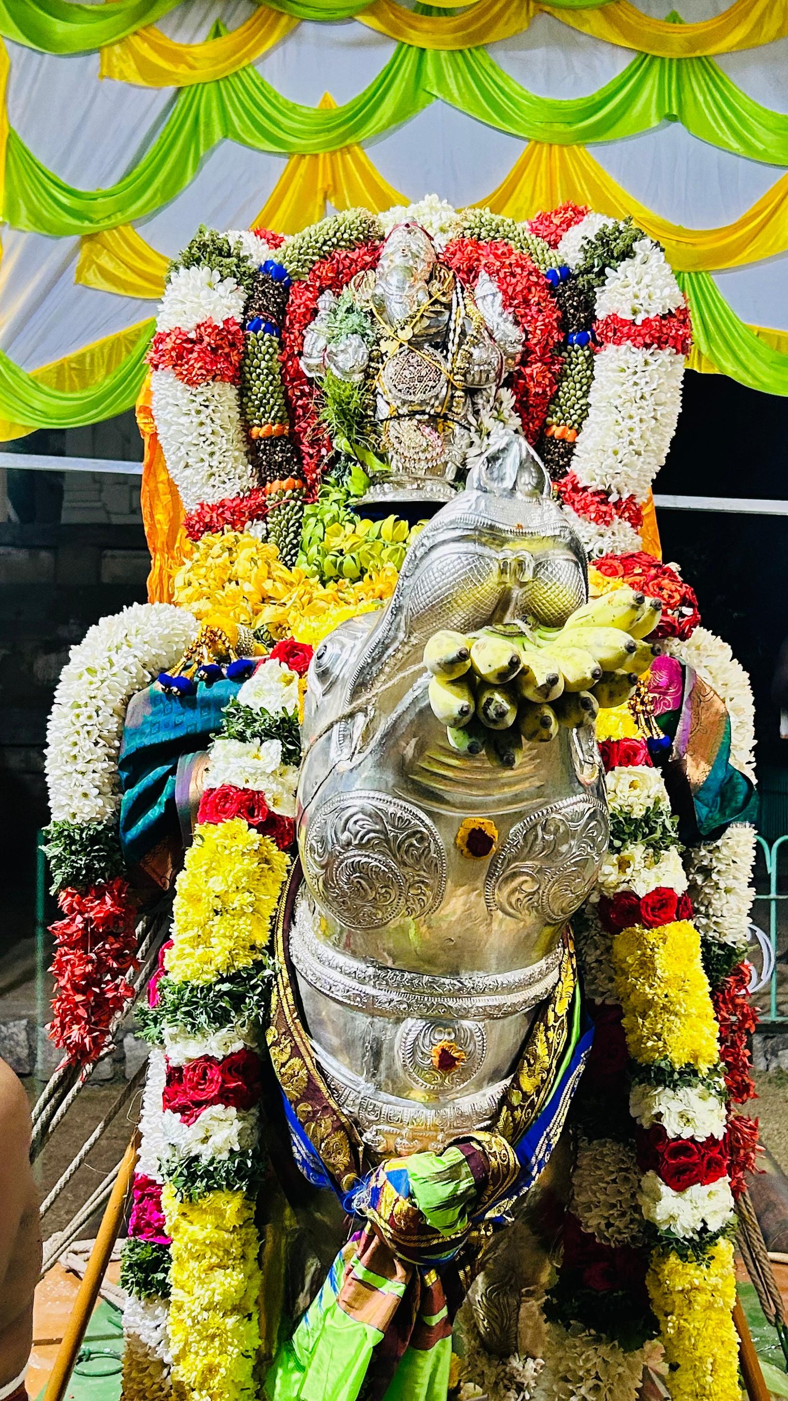 Pujya Shankaracharya Swamiji- Visesha pujas-events