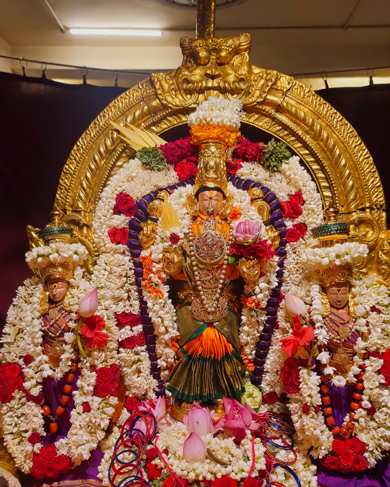 Pujya Shankaracharya Swamiji - Visesha pujas-events