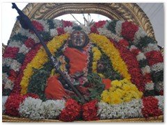 Adi Shankara