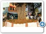 3. An Arasa Maram (Sacred Fig)